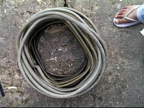 Freecycle Garden hose