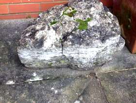 Freecycle 2 Large Stones