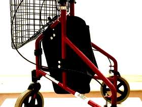 Freecycle 3 wheeled walker