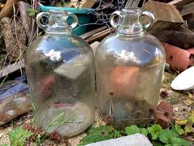 Freecycle Demijohns x2
