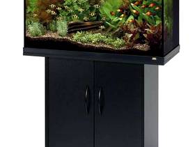Freecycle Juwell aquarium with stand