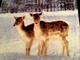 Freecycle Brand New (No Tags) Fleece Blanket/Throw