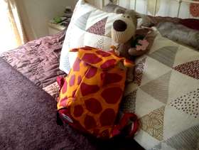 Freecycle Samsonite Childs unique back pack