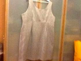 Freecycle Ladies size 26 Definitions dress knee length, sleeveless