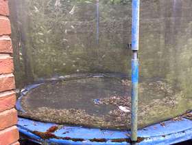 Freecycle Large trampoline