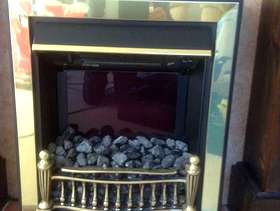 Freecycle Electric fire