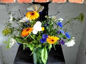 Freecycle Gorgeous summer flowers
