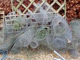Freecycle Chicken wire