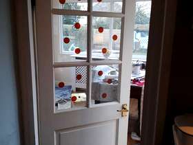 Freecycle Door half panel half glass