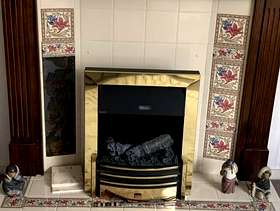 Freecycle Electric Fire