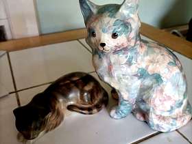 Freecycle Cats anment