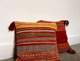 Freecycle 2 cushions