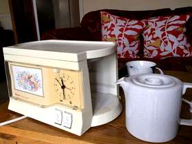 Freecycle Swan teasmaid