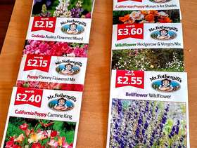 Freecycle Flower seeds to sow now