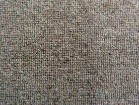 Freecycle Used Carpet