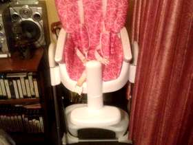 Freecycle Baby girl high chair