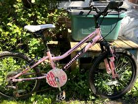 Freecycle Kids Bike -age 6+