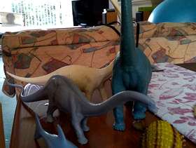 Freecycle Dinosaurs