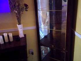Freecycle Curio Cabinet