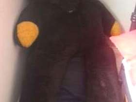 Freecycle Giant 5ft Teddy Bear