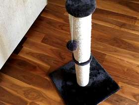 Freecycle Scratching post (for cats)