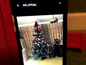 Freecycle Christmas Tree