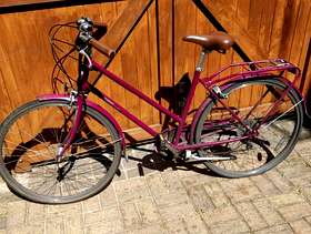 Freecycle Bobbin bramble Dutch bicycle ladies