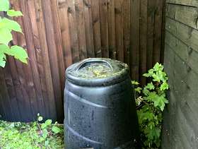 Freecycle Compost bin