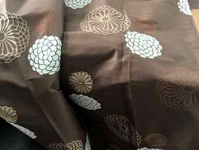 Freecycle Eyelet Curtains