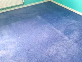 Freecycle Blue bedroom carpet