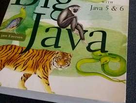 Freecycle Big Java programming book