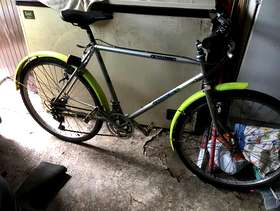 Freecycle Adults bike