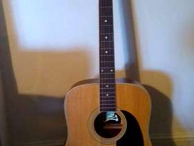 Freecycle Encore Dreadnought Guitar