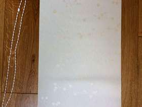 Freecycle Small blind for side window