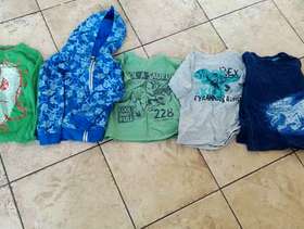 Freecycle Dinosaur Tops