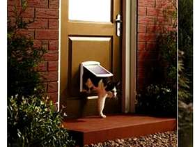 Freecycle Small cat/dog cat flap