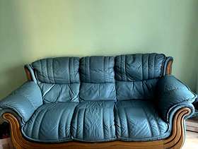 Freecycle Leather Sofa