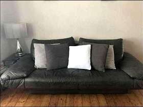 Freecycle Leather Sofa