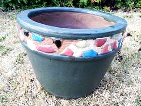 Freecycle Dark green plant pot with coloured rim