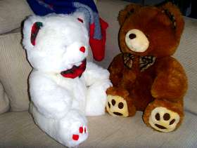 Freecycle Teddybears