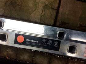 Freecycle Double extension ladders