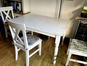 Freecycle Dining table