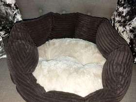 Freecycle Brand new Cats Bed bought from Pets at home
