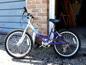 Freecycle Unisex Childs Bike