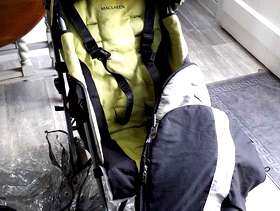 Freecycle Buggy
