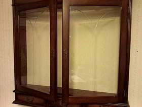 Freecycle Wall Display Cabinet