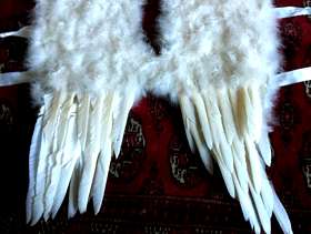 Freecycle Christmas angel wings, real feathers
