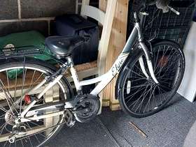 Freecycle Elyse Ladies Bike
