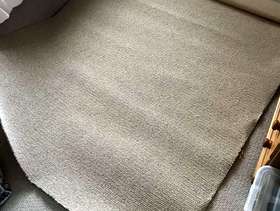 Freecycle Carpet