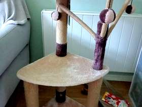 Freecycle Cat scratching post